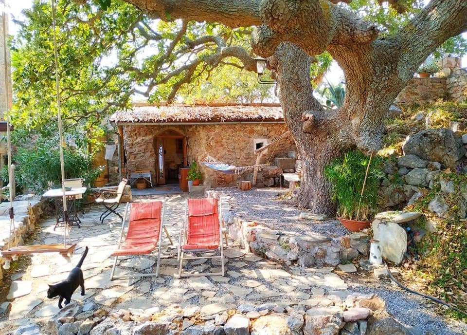 Wellanidia Cottage Skoutari 伊西翁 外观 照片