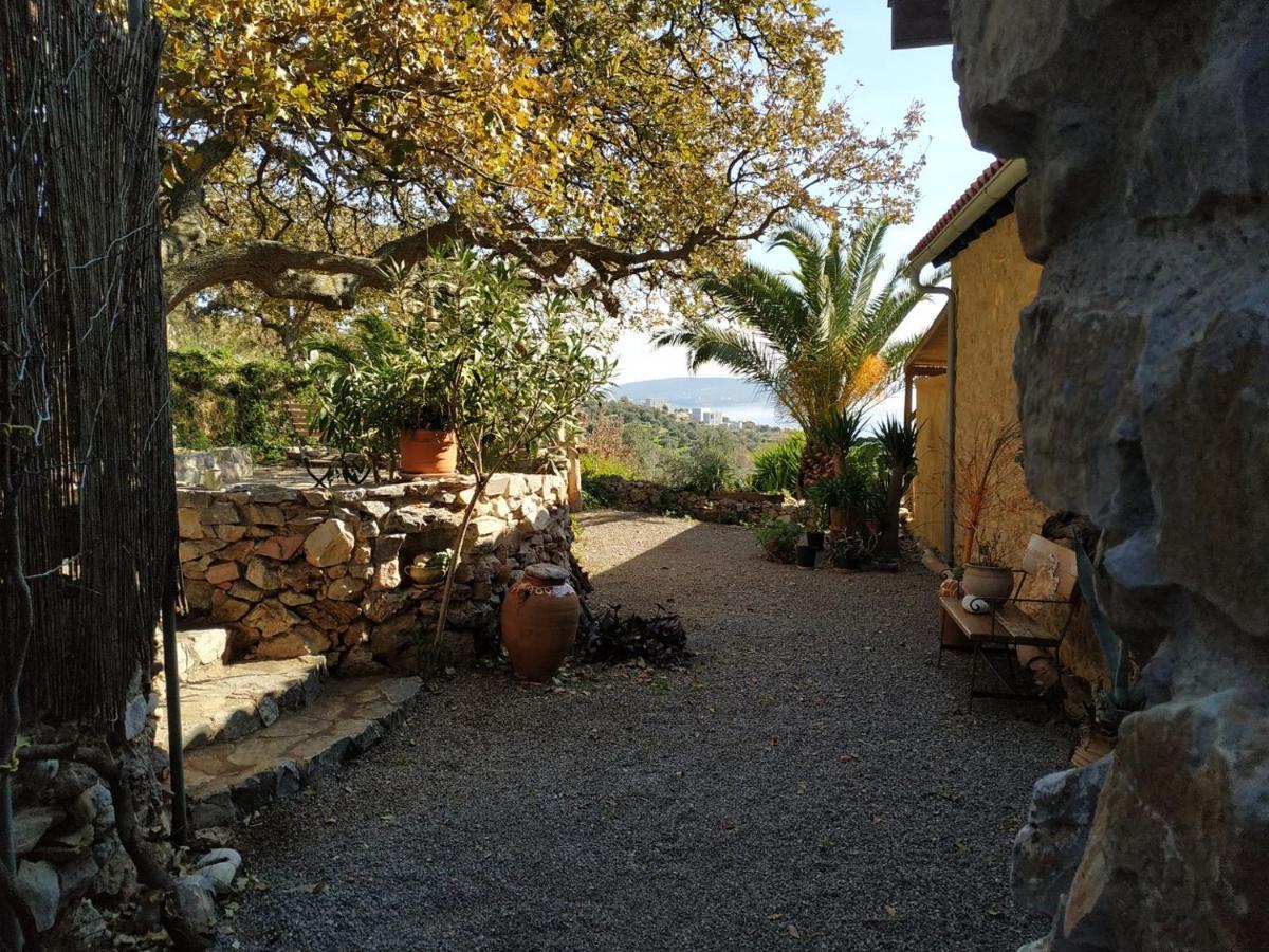 Wellanidia Cottage Skoutari 伊西翁 外观 照片