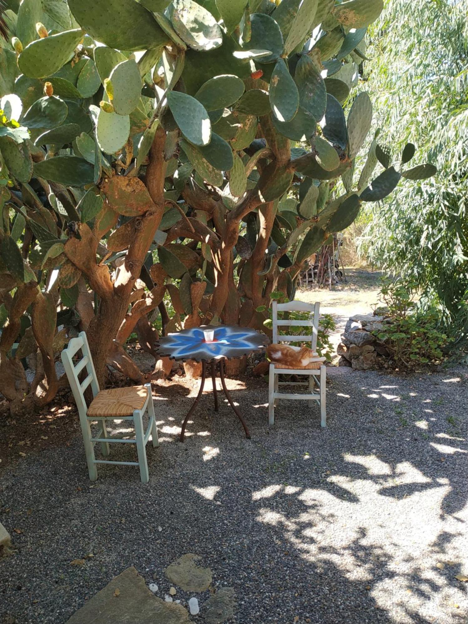 Wellanidia Cottage Skoutari 伊西翁 外观 照片